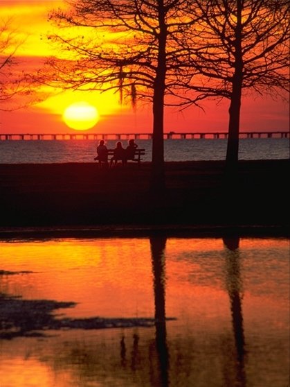 Toyota Of New Orleans >> Fontainebleau State Park | Louisiana Office of State Parks Toyota Of New Orleans >> Fontainebleau State Park | Louisiana Office of State Parks