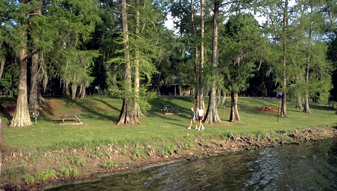 Lake Bruin State Park Louisiana Office Of State Parks