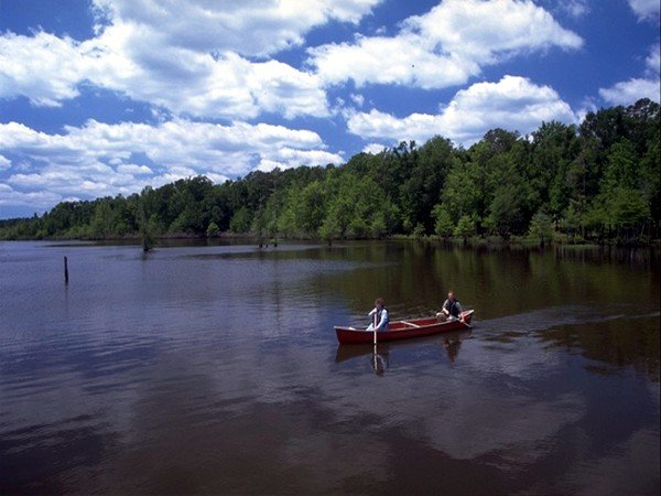 Toyota Of New Orleans >> Lake D'Arbonne State Park | Louisiana Office of State Parks Toyota Of New Orleans >> Lake D'Arbonne State Park | Louisiana Office of State Parks