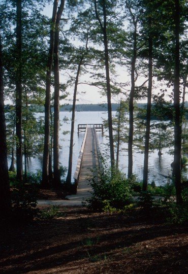 Toyota Of New Orleans >> Lake D'Arbonne State Park | Louisiana Office of State Parks Toyota Of New Orleans >> Lake D'Arbonne State Park | Louisiana Office of State Parks