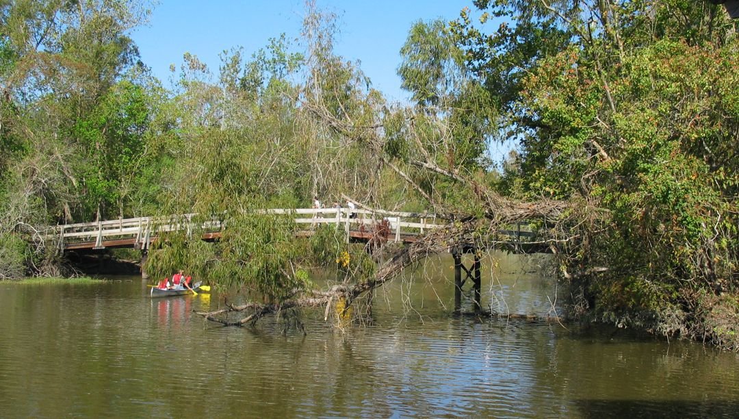 Lake Fausse Pointe State Park Louisiana Office Of State Parks