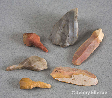 Photo by Jenny Ellerbe