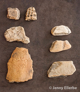 Photo by Jenny Ellerbe