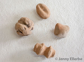 Photo by Jenny Ellerbe