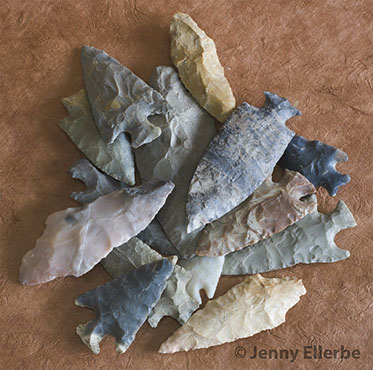 Photo by Jenny Ellerbe