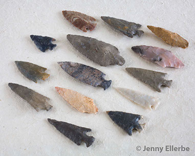 Photo by Jenny Ellerbe