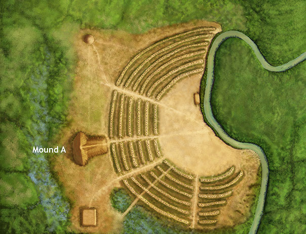 Mound A was the largest of the site's mounds, taking millions of baskets of earth to make. Image credit: Herb Roe