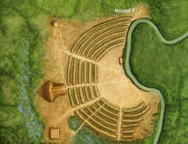 Native Americans built Mound F, the last mound built at the site, sometime around 1200 B.C. Image credit: Herb Roe.