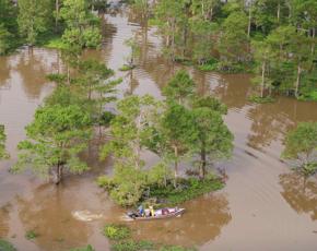 Atchafalaya Basin